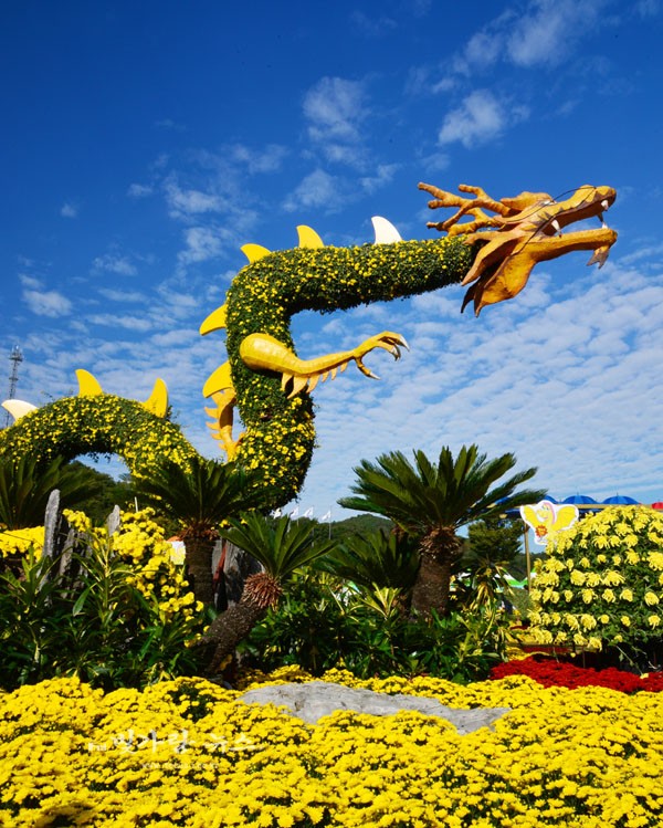 ▲ 노란꽃 축제 (자료사진)