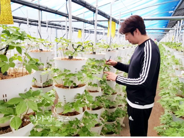 ▲ ‘청년 농업인 창업지원 프로젝트’ 수혜자 김지성씨. 김씨는 장성군으로부터 창업 자금을 지원받아 농업 경영비를 절감했다