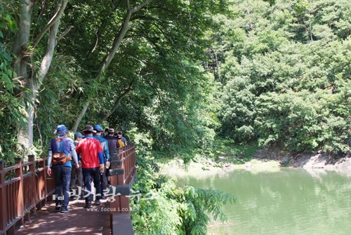 ▲ 무더운 여름을 시원한 장성호 수변길을 걷고 있는 탐방객들 (자료사진)