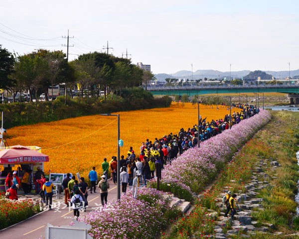 ▲ 황룡강변에서 실시한 걷기대회 (자료사진)