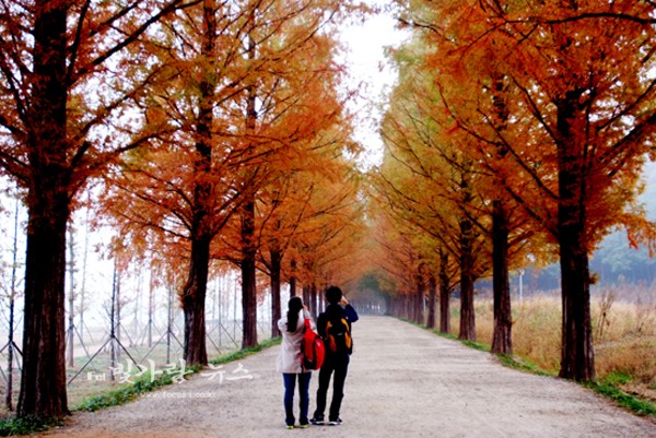 가을을 담고 있는 탐방객 (자료사진)