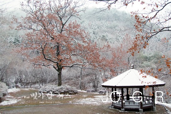 ▲ 축령산의 겨울 (자료사진)