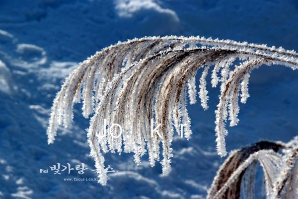 ▲ 겨울 풍경 (자료사진)