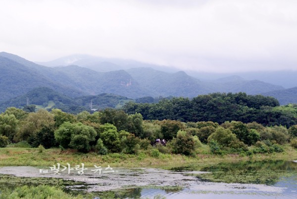 ▲ 광주호 상류 생태공원 (자료사진)
