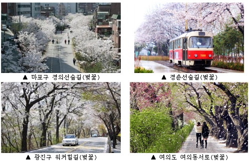 ▲ 서울의 주요 봄 꽃길 (서울시제공)
