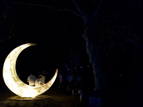 ▲ ‘담양 플라타너스 별빛?달빛길’ 한국관광공사 야간경관 100선 선정