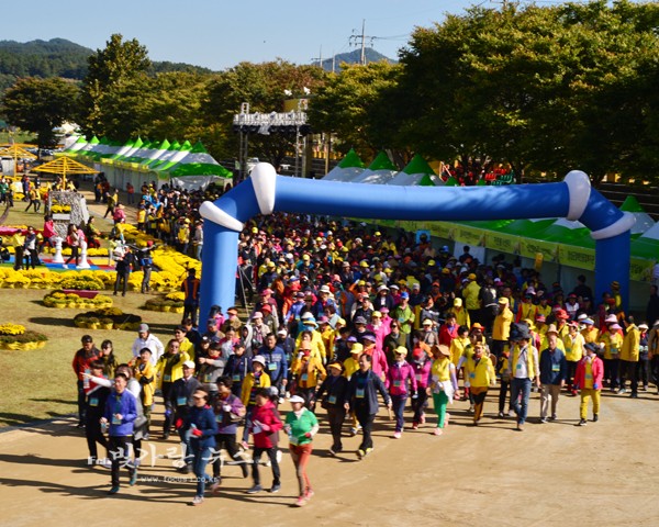 ▲ 장성 노랑꽃 축제 걷기대회 (자료사진)