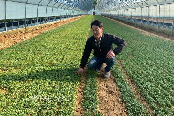 ▲ 친환경 새싹 채소를 재배하고 있는 왕인바이오랜드영농조합법인의 민영 대표