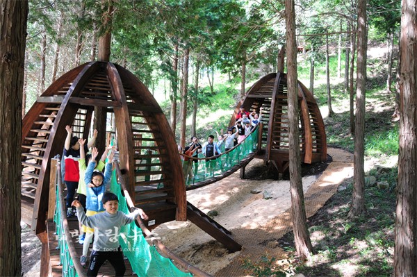 진도군이 최근 개장한 편백숲 운림산림욕장