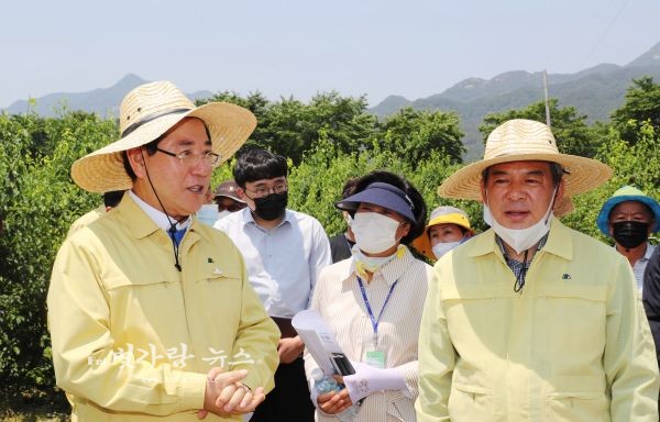 ▲ 농작물 우박 피해현장을 긴급 점검하고 있는 김영록 지사(좌)
