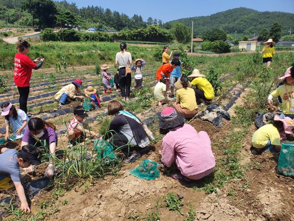 ▲ 진도군, 농산물 직거래 홍보 위해 팜파티 개최
