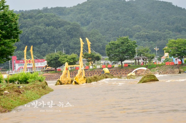 강물로 초토화된 황룡강 변 꽃길