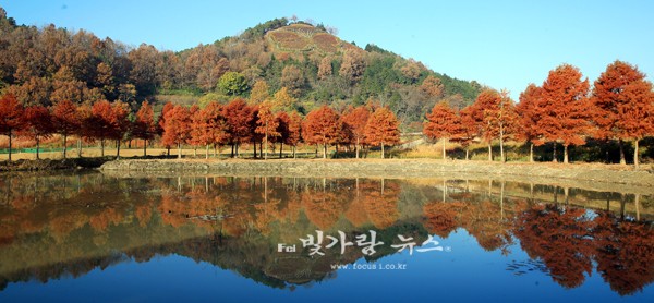 ▲ 함평엑스포공원 습지공원 반영 (함평군제공)