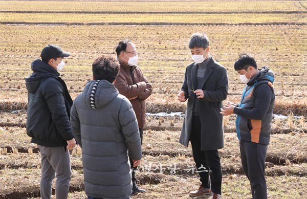 ▲ 농업기술센터 직원이 올해 파종된 쌀귀리를 살펴보며 재배 기술을 지도하고 있다.