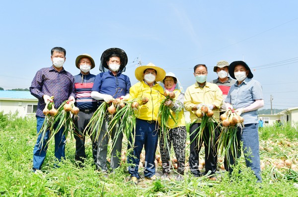▲ 농촌 일손돕기 봉사활동을 하고 있는 유두석 장성군수와 직원들