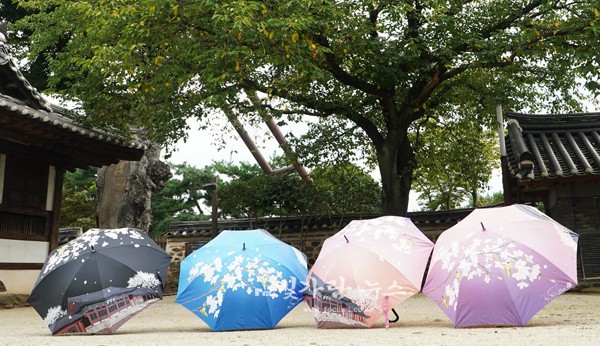 ▲ 나주시가 상품으로 개발한 배꽃 우산
