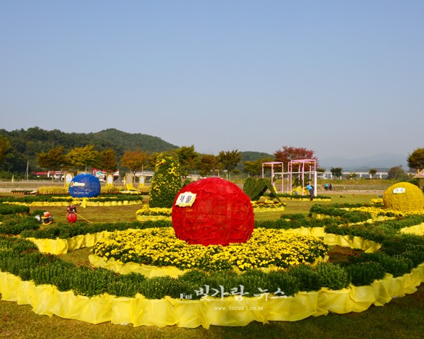 ▲ 가을꽃 축제가 열리는 황룡강변 (자료사진)