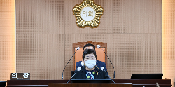 효행 장려 및 지원에 관한 조례안을 대표 발의하고 있는 김영순 의원